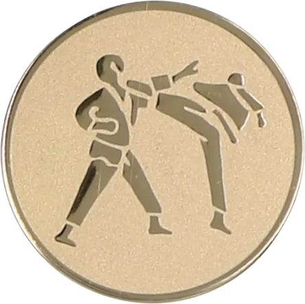 Emblemat A60 Karate 25/50 mm