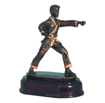 Statuetka Karate RJ161